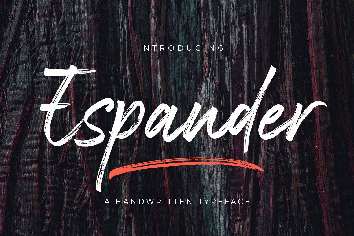 Espander - Handwritten Typeface example image 1