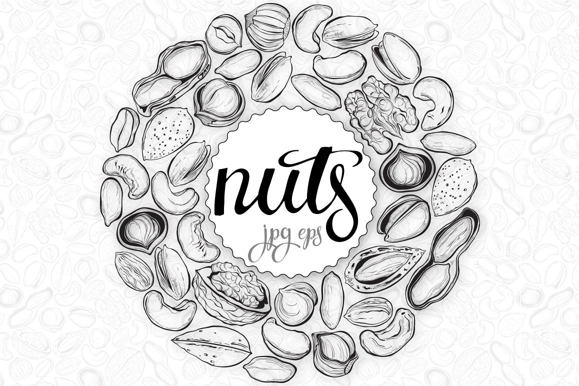 Nuts. Vector set. example image 1