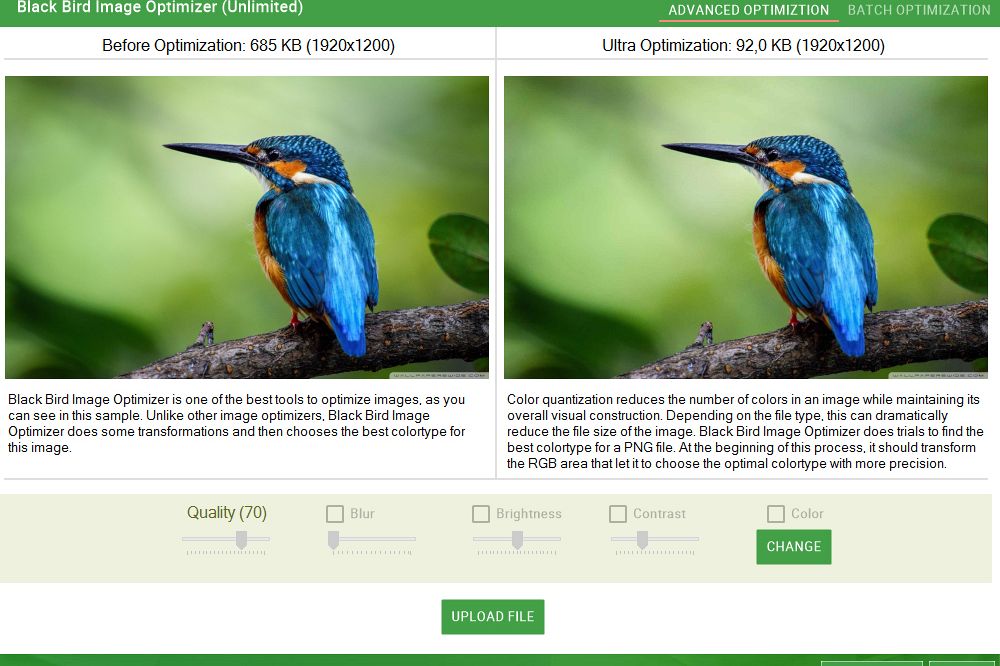 Black Bird Image Optimizer example image 1