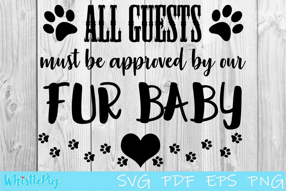 All Guests Must Be Approved By Our Fur Baby SVG House Sign example image 1