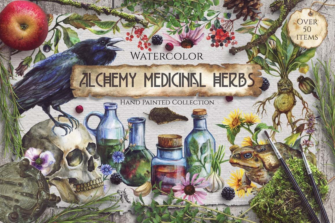 Watercolor Alchemy Medicinal Herbs example image 1