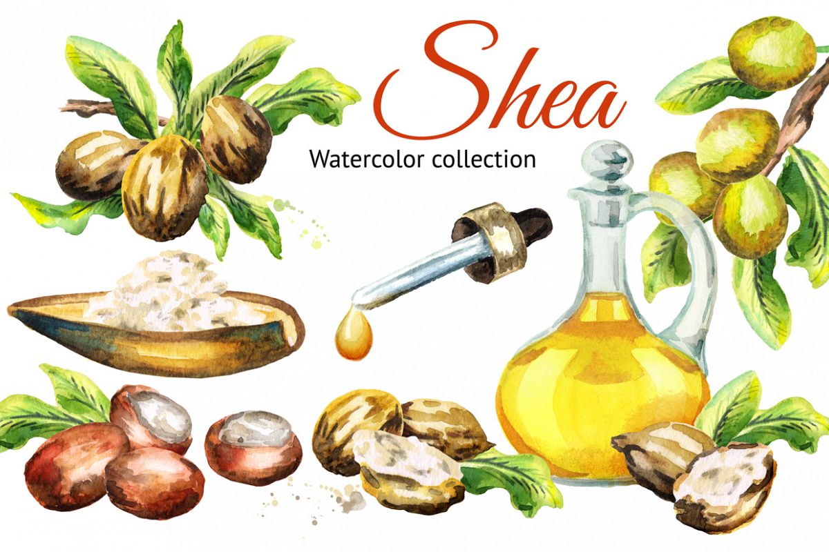 Shea example image 1