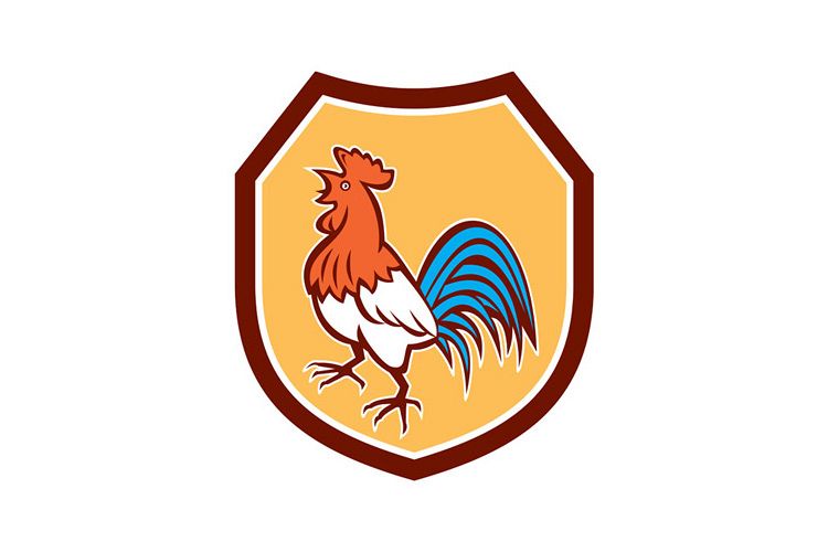 Chicken Rooster Crowing Looking Up Shield Retro example image 1
