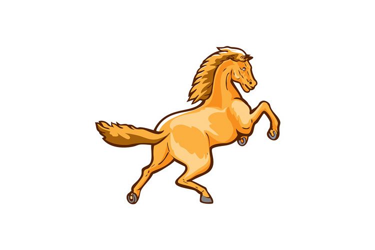 Colt Horse Prancing Rear Isolated Retro example image 1