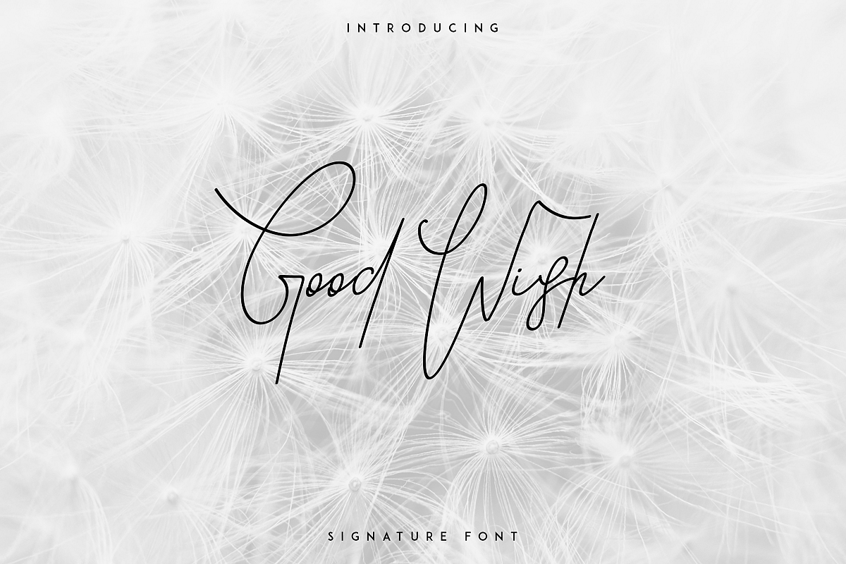 Good Wish Signature font example image 1