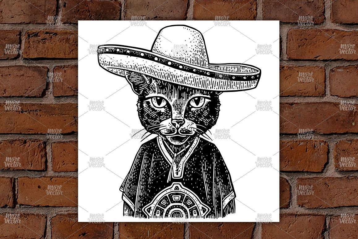 Cat dressed in the poncho, sombrero. Vintage engraving example image 1