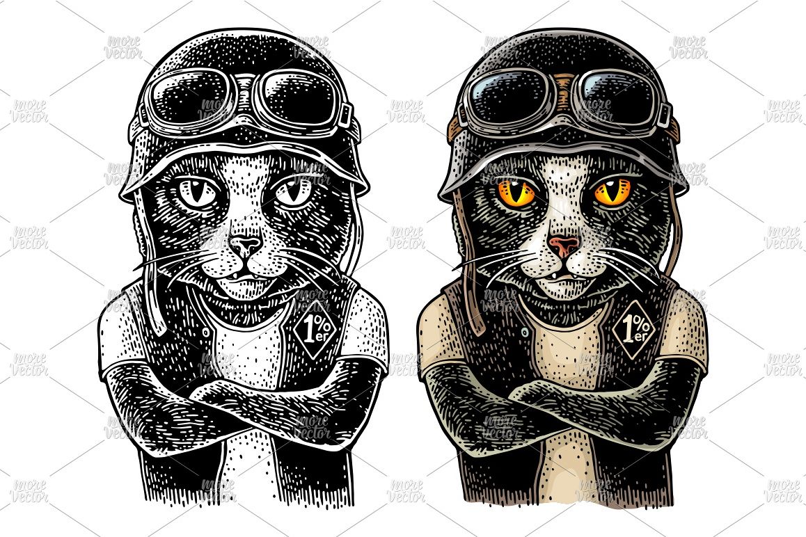 Cat biker Vector color vintage engraving example image 1