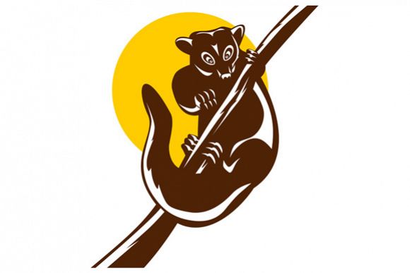 Possum on Branch example image 1