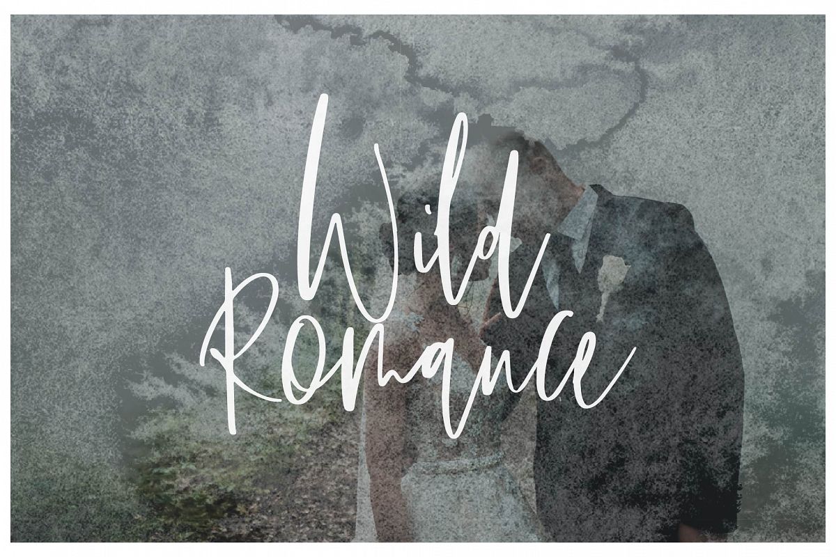 Wild Romance Script Font example image 1