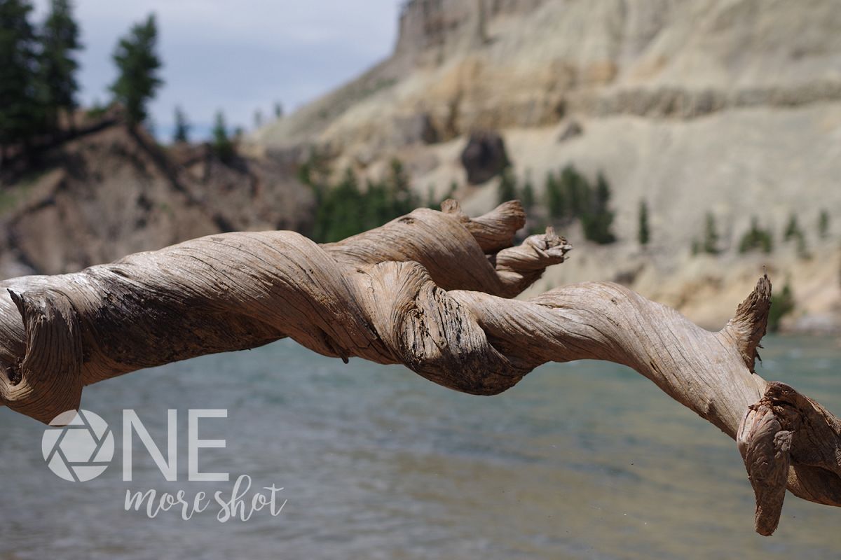 Yellowstone National Park River - Twisted Log - Wyoming example image 1