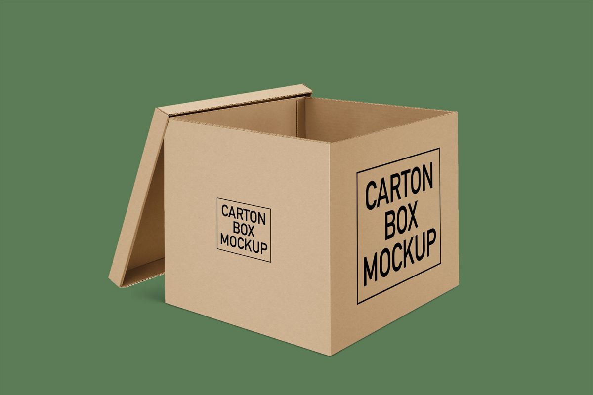 Download Carton Box Mockup