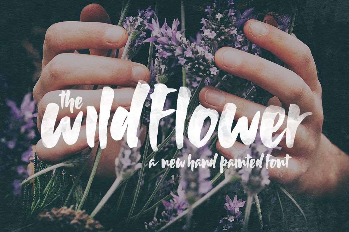 Wildflower Font example image 1