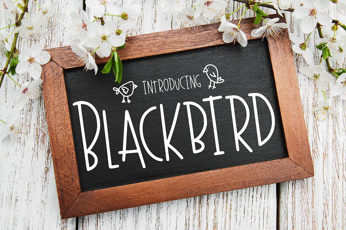 Blackbird example image 1