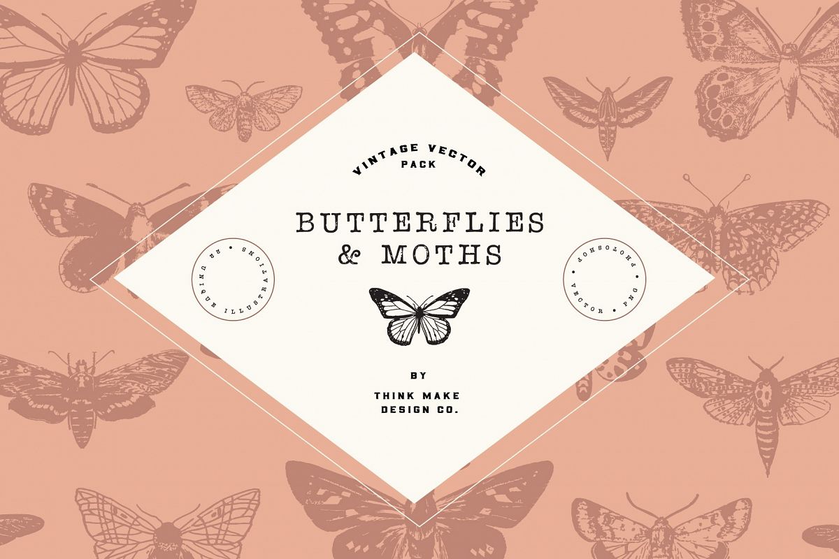 Vintage Vector - Butterflies & Moths example image 1