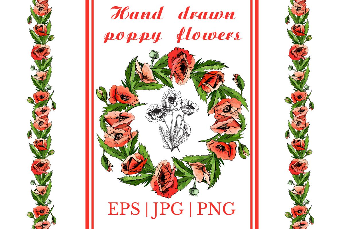 Bundle with sketches of poppy flowers. Modern and retro style. example image 1