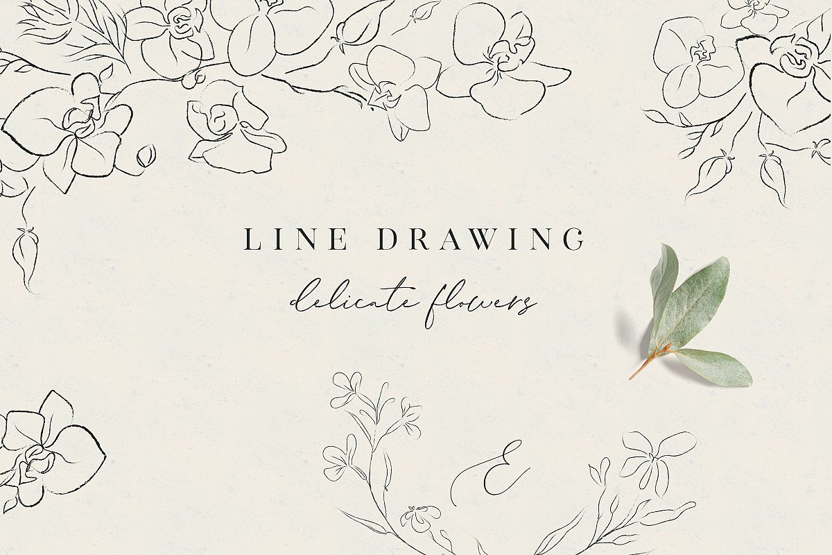 Line clipart hand drawn fine art graphic orchid flower example image 1