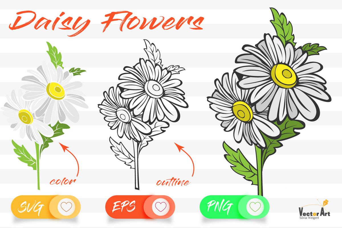 Daisy Flower- Cut File with 2 Layers example image 1