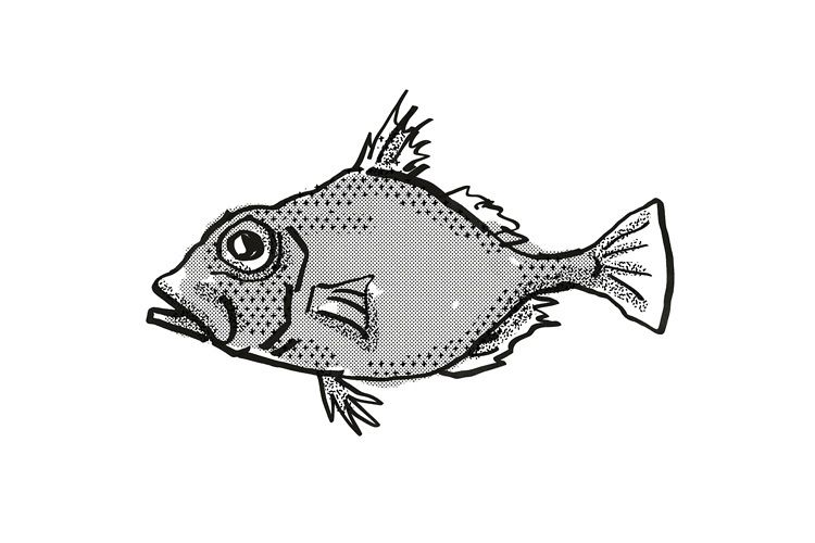 False Dory Australian Fish Cartoon Retro Drawing example image 1