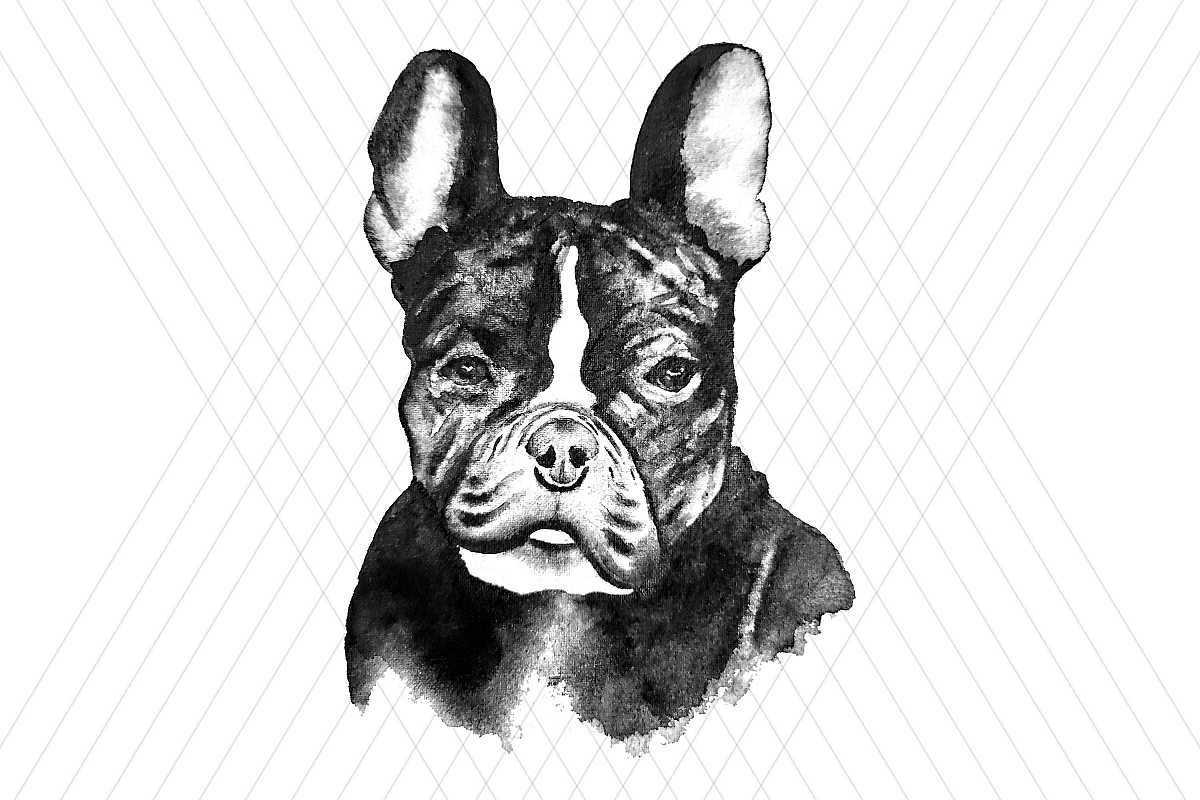 Watercolor DOG clip art example image 1