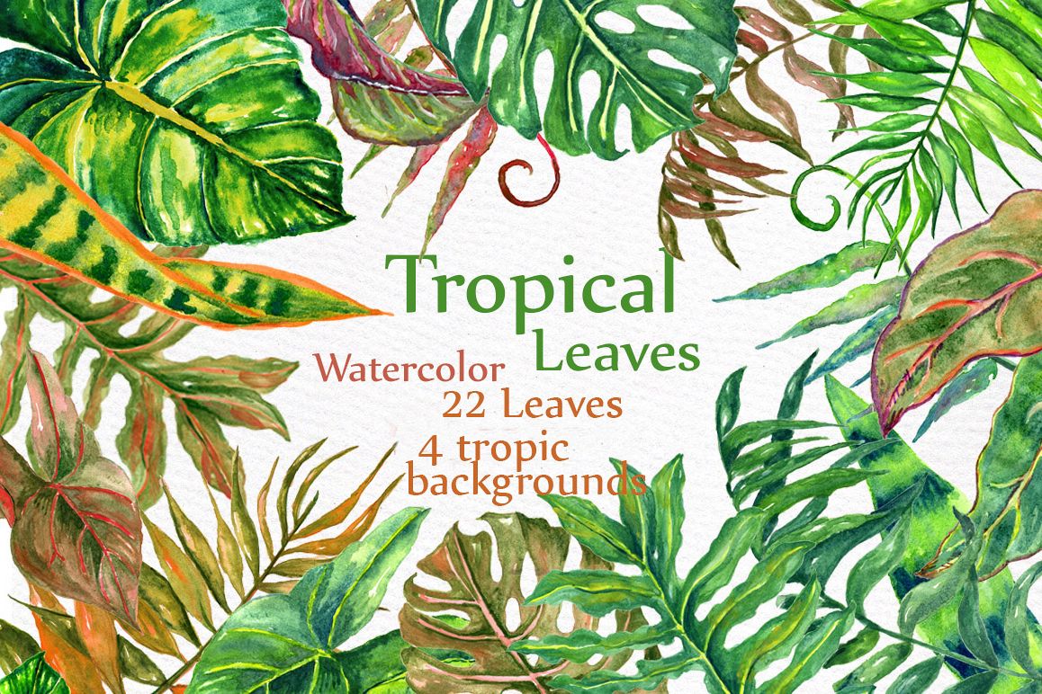 Download Tropical watercolor leaves