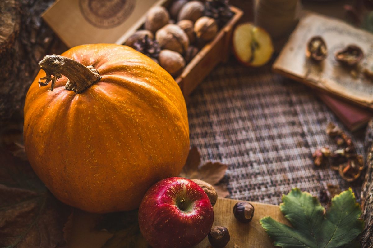 Orange Pumpkin example image 1