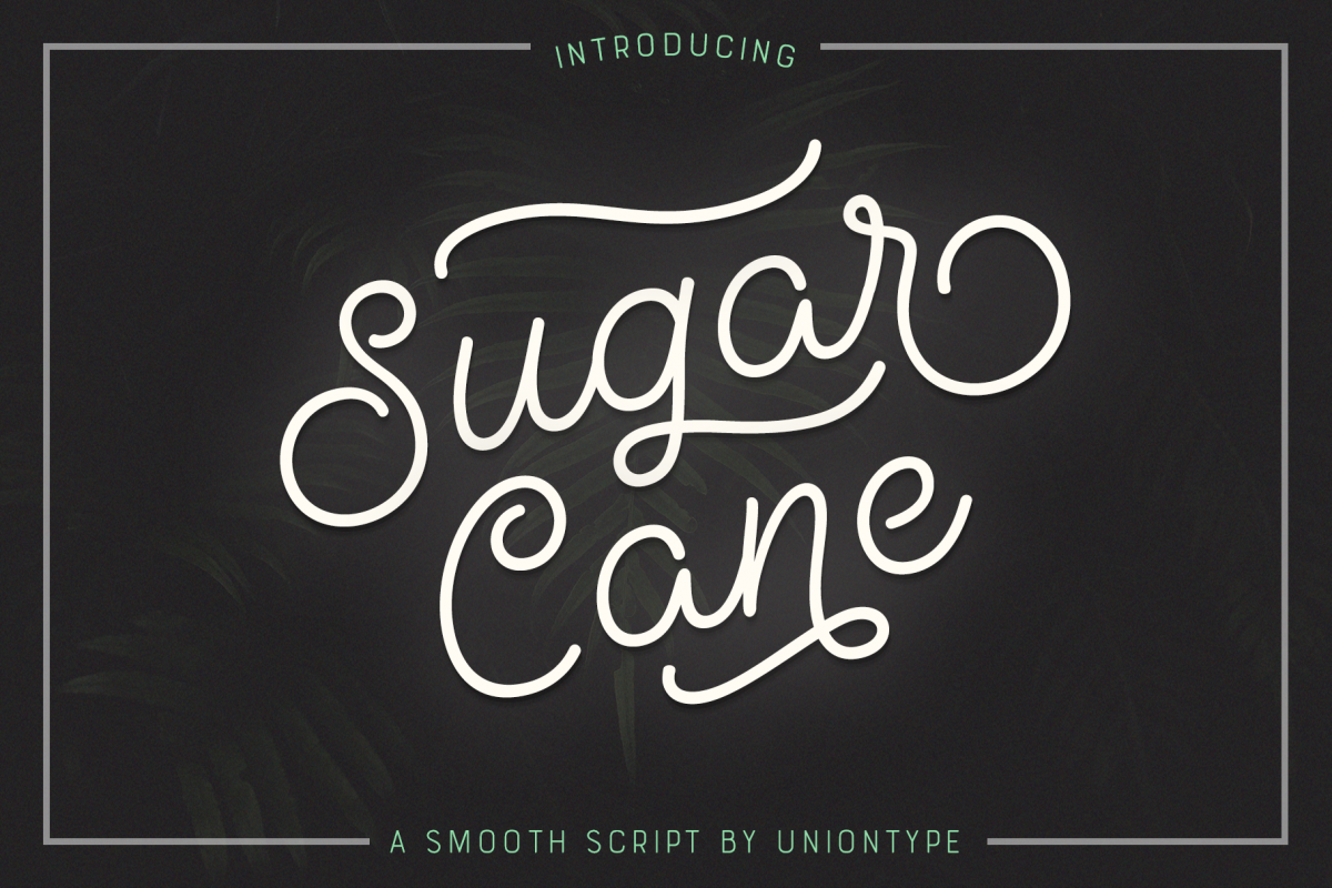 Sugar Cane example image 1