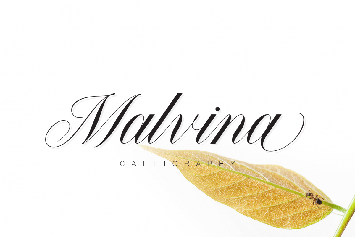 Malvina example image 1