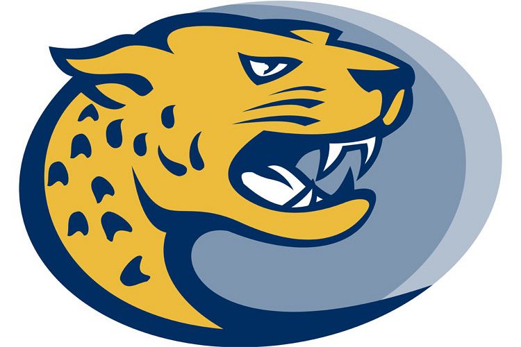 jaguar head facing side example image 1