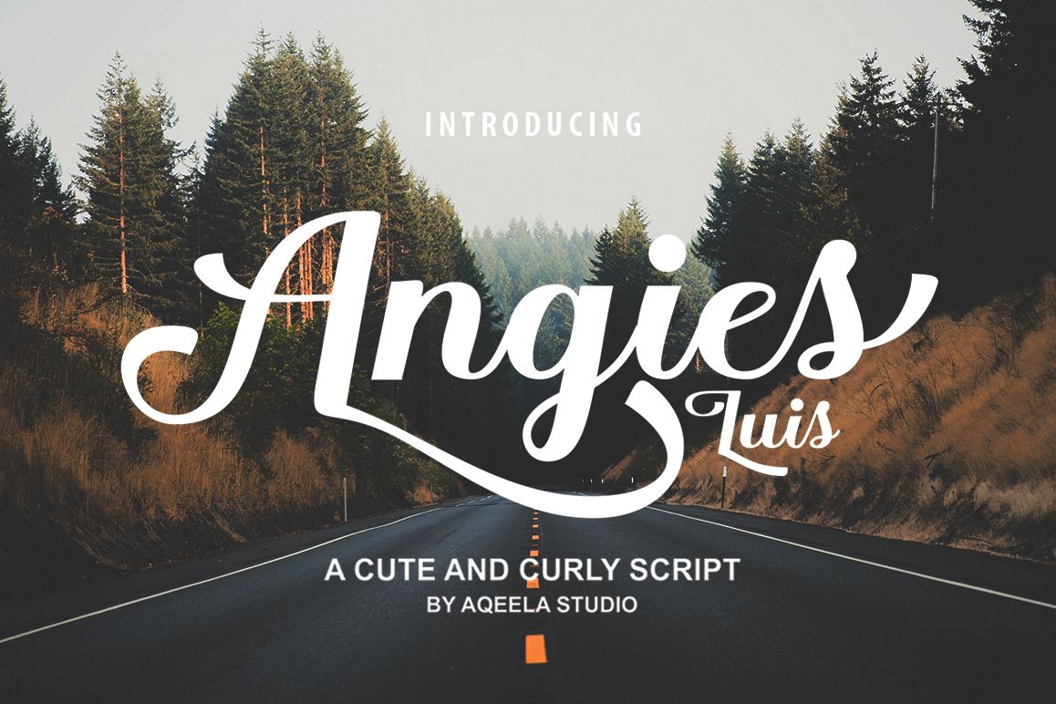 Angies Luis example image 1