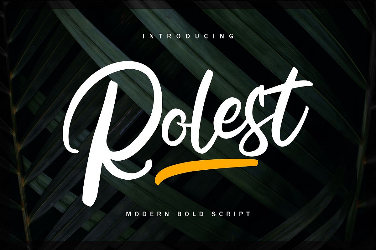 Rolest | Modern Bold Script Font example image 1