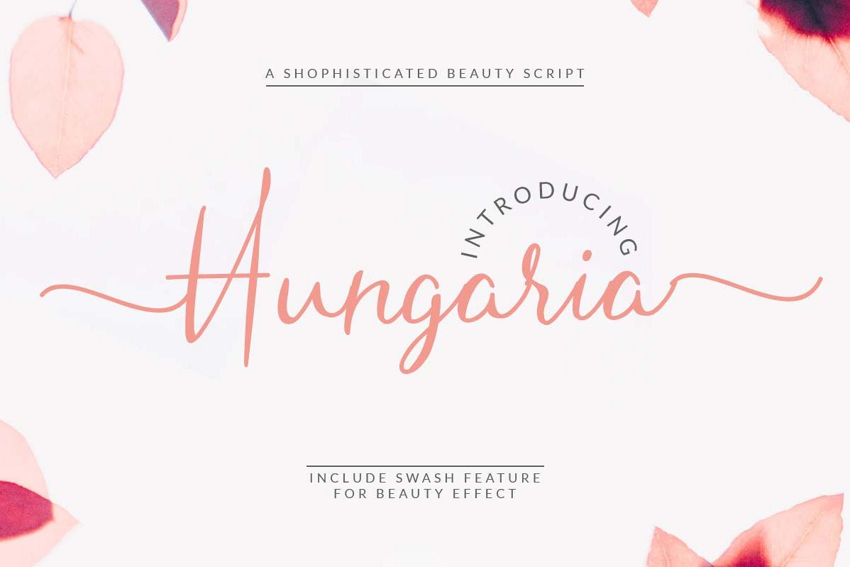 Hungaria - Sophisticated Script Font example image 1