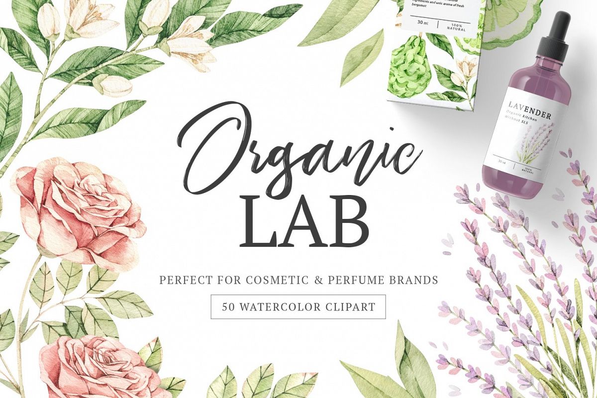 Organic LAB. Watercolor botanical illustrations example image 1