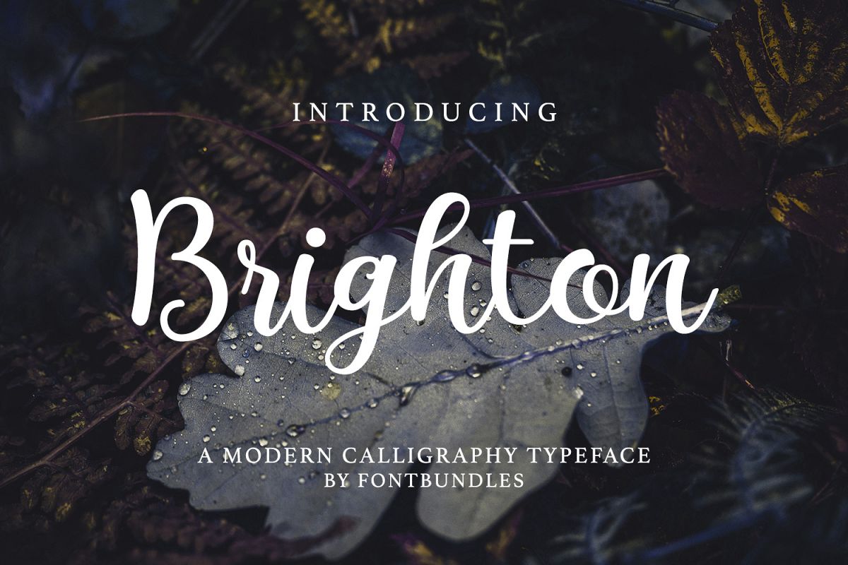 Brighton example image 1