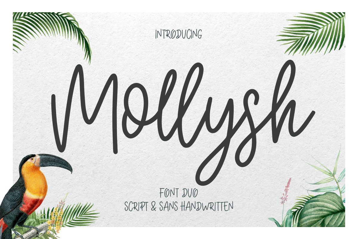 Mollysh Calligraphy Font example image 1