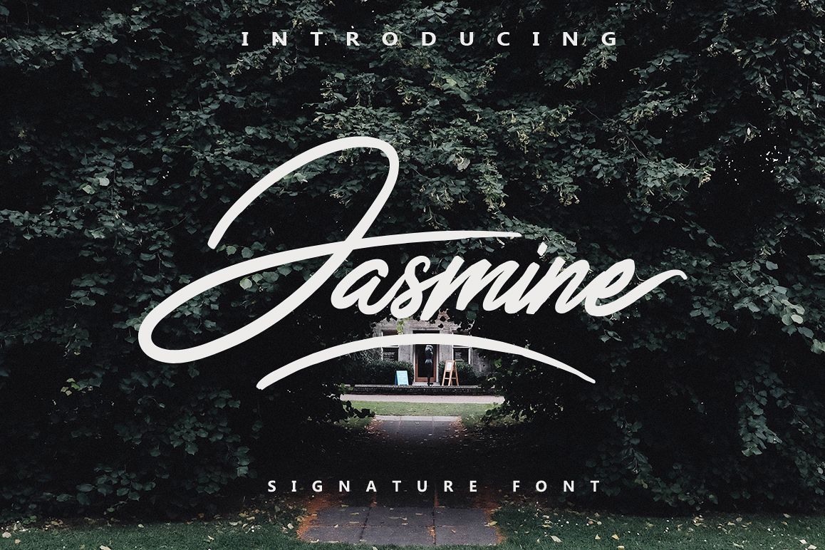 jasmine-script-11586-brush-font-bundles