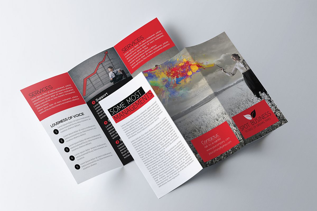 Trifold Brochure example image 1