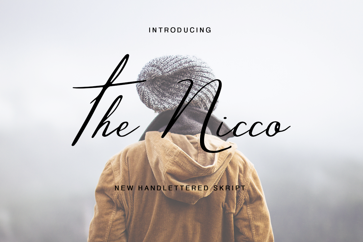 The Nicco example image 1