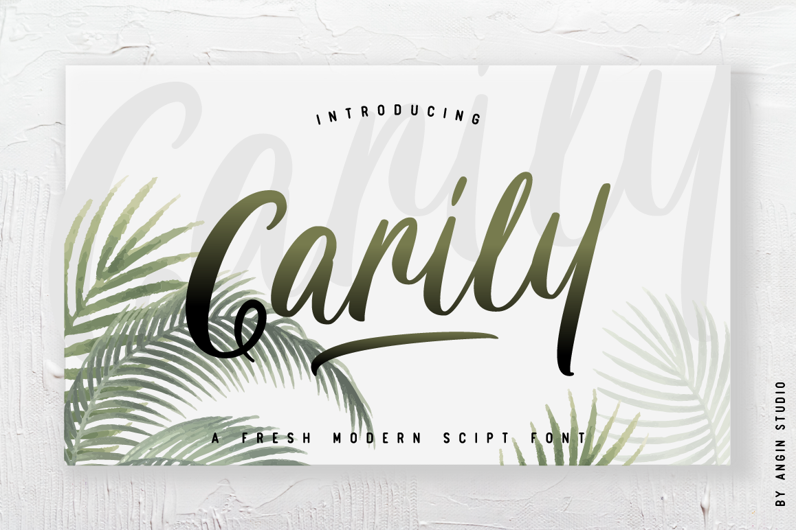 Carily Modern Script example image 1