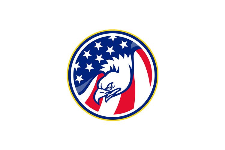eagle flying american stars stripes flag example image 1