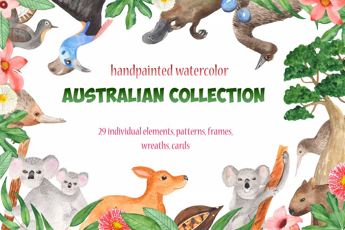 Download Australian animals and plants watercolor clipart