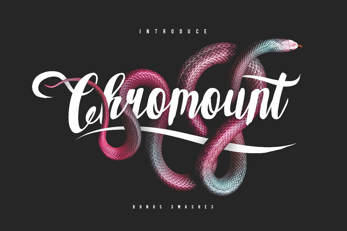 Chromount Script + Swashes example image 1