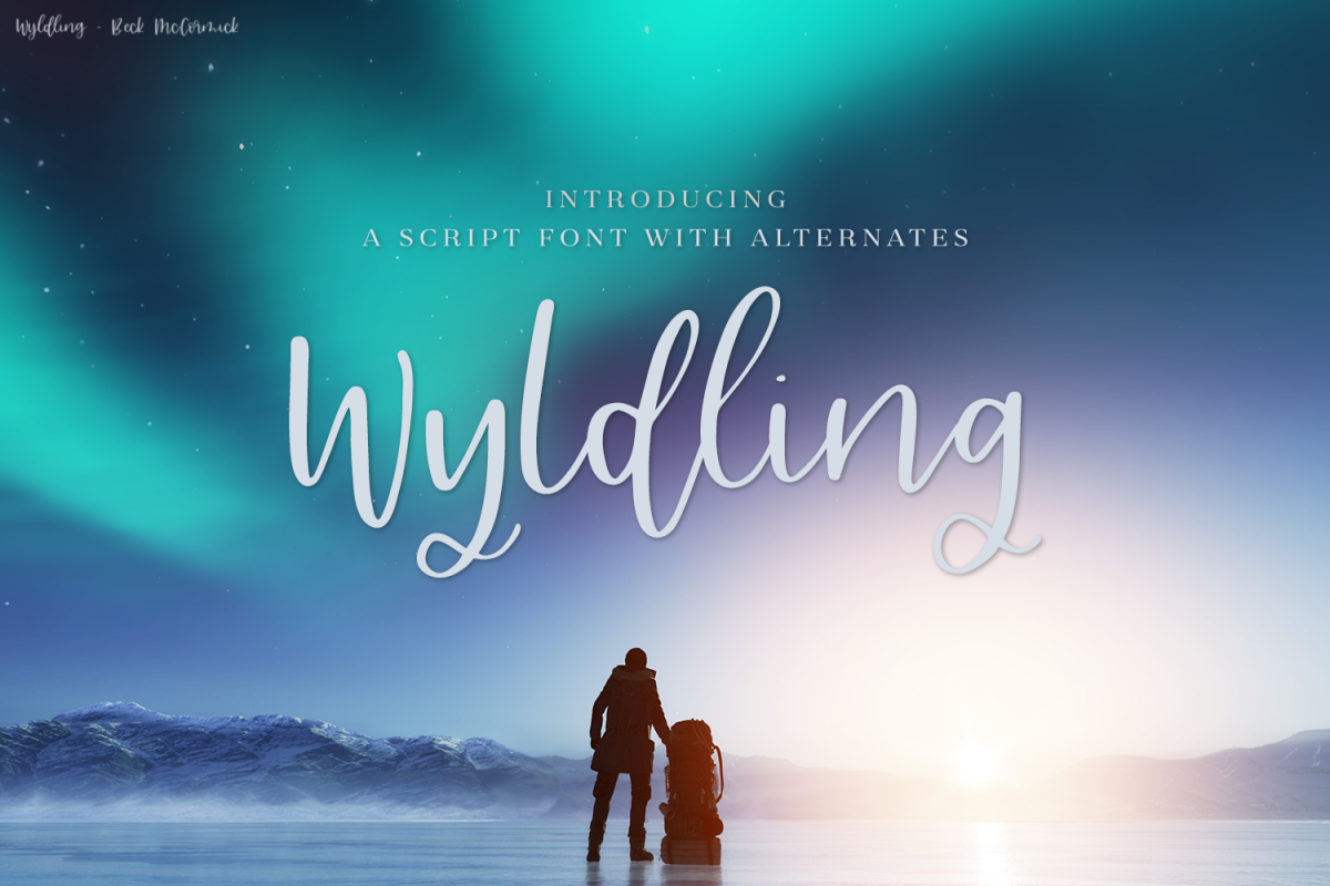 Wyldling Script Font example image 1