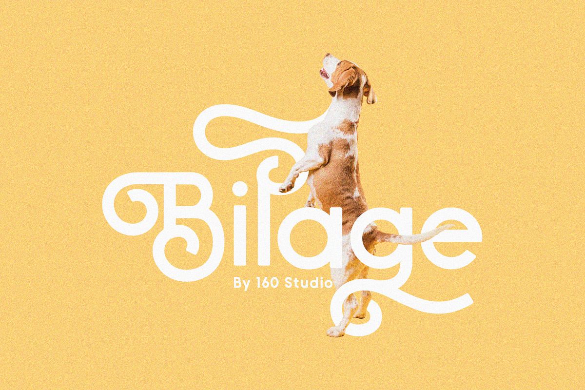 Bilage example image 1