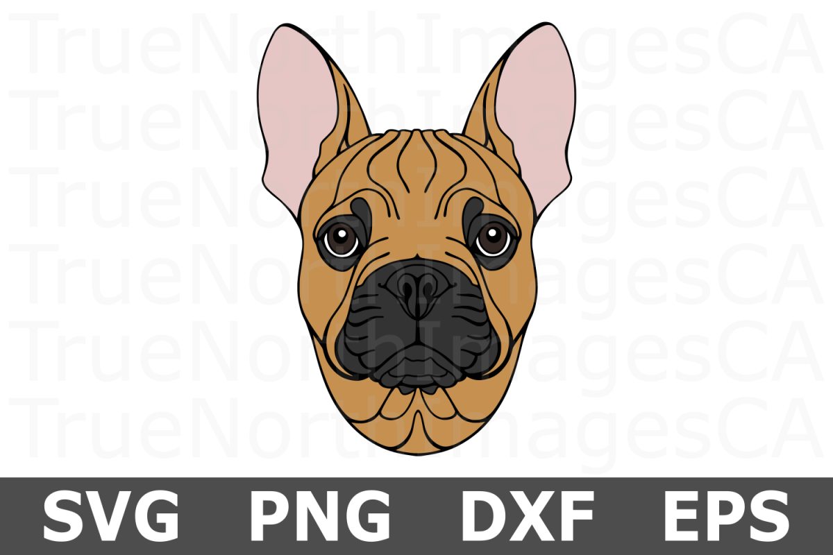French Bulldog - An Animal SVG Cut File example image 1