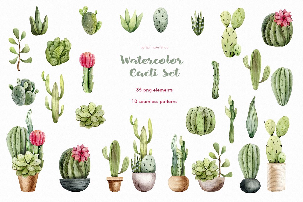Watercolor Cacti clipart Plants watercolor succulents
