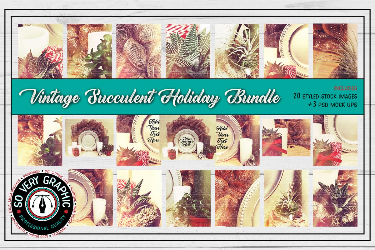 20 Vintage Succulents Holiday Styled Stock | Mock Up Bundle example image 1