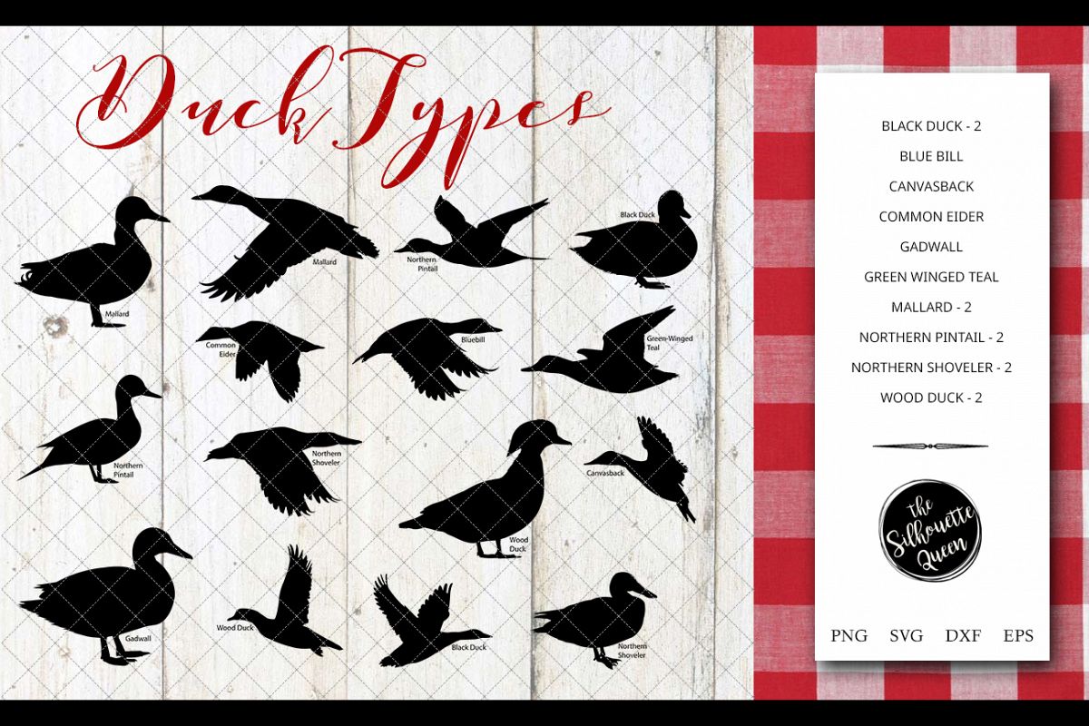 Duck Breeds Silhouette Vector svg file, duck svg cut file example image 1