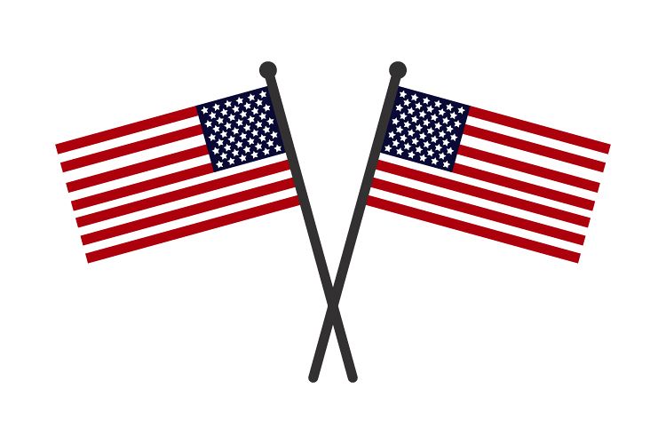 United States flag example image 1