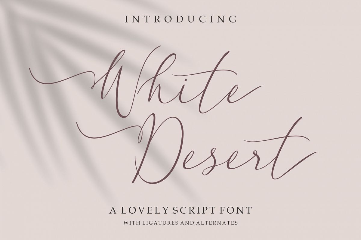 White Desert // Lovely Script Font example image 1