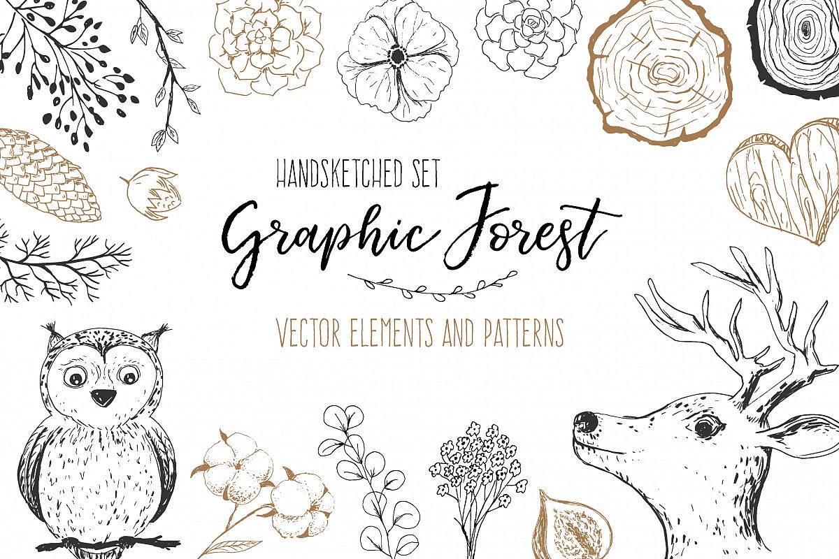 Vector Graphic Forest Collection example image 1
